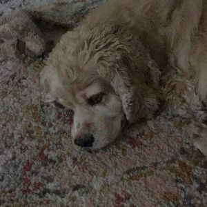 Meet your Posher, Maureen